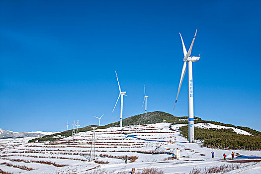 云南东川红土地,打马坎,雪后风力发电机群