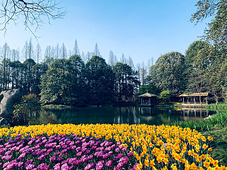 人间四月芳菲尽,山寺桃花始盛开