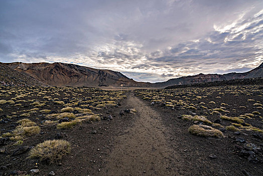 小路,南方,火山口,汤加里罗,高山,国家公园,北岛,新西兰