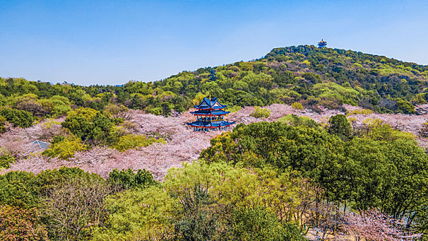 航拍江苏省无锡太湖鼋头渚赏樱楼,蠡湖渤公岛