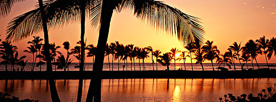 夏威夷,漂亮,海滩,日落,大幅,尺寸