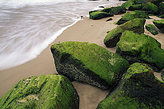 石头,海洋