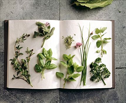 多樣,沙拉,藥草,翻書