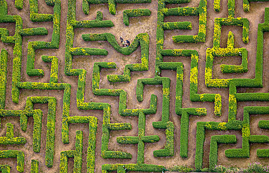 树篱,迷宫,梅克伦堡,湖区,梅克伦堡州,德国