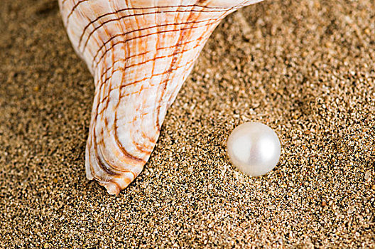 沙中的珍珠