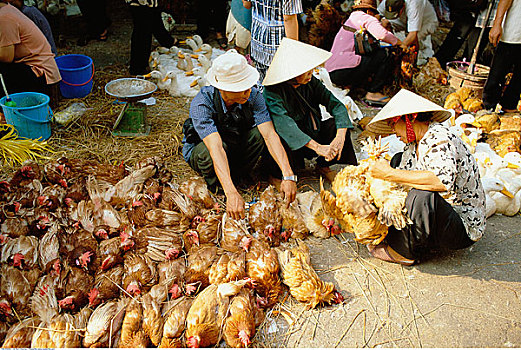农民,市场,胡志明市,越南