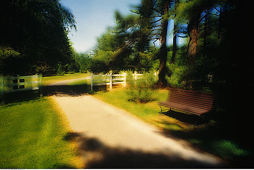 公园长椅,小路,栅栏,加蒂诺公园,魁北克,加拿大