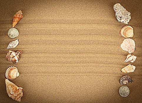 海螺壳,沙子,背景