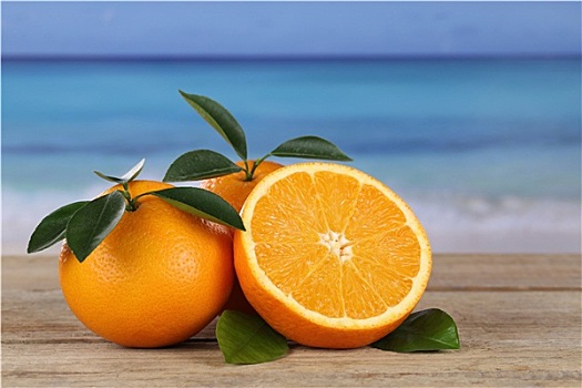 橙子,海岸,休假