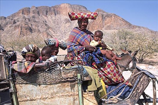 女人,特色,衣服,驴,手推车,考科韦尔德,纳米比亚,非洲