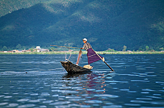 后视图,一个,男人,捕鱼,湖,茵莱湖,缅甸
