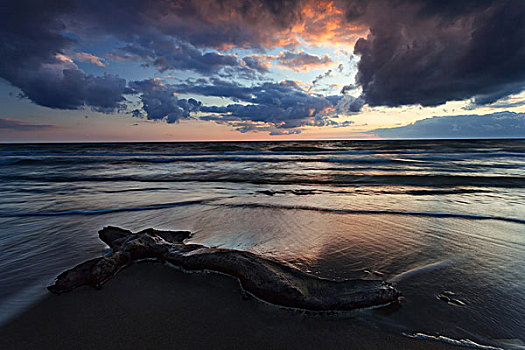 落日,波罗的海,海岸,达斯,西部,海滩,国家公园,波美拉尼亚,风景