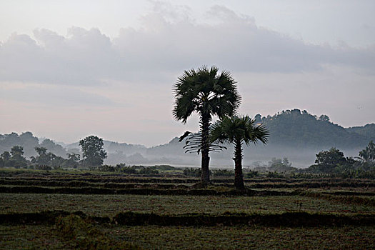 亚洲,缅甸,风景