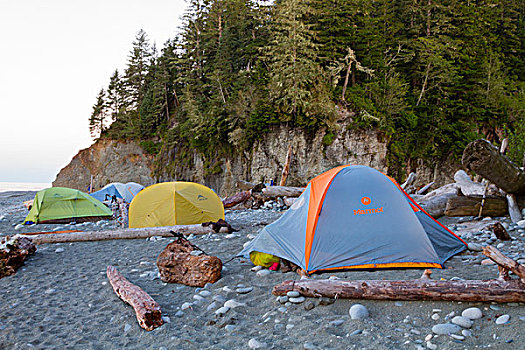 加拿大,环太平洋国家公园,西海岸小径,海滩,露营,溪流