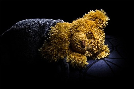 睡觉,泰迪熊