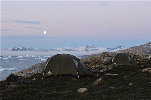 帐蓬,露营,峡湾,东方,格陵兰