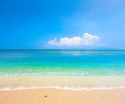 海滩,热带,海洋,苏梅岛,泰国