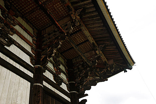 日本,奈良,东大寺