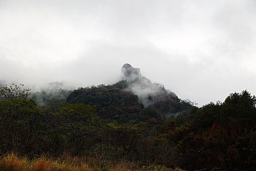 武夷山