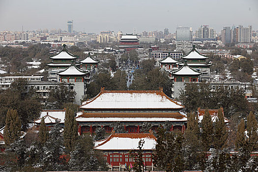 雪后的景山公园