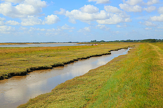 河,矿,盐沼,沿岸,防汛,堤岸,英格兰,英国