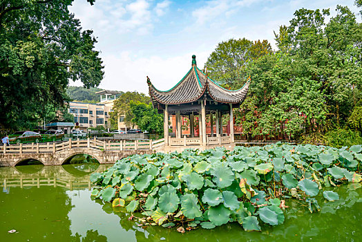 湖南长沙岳麓书院－吹香亭