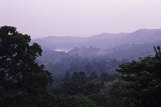 乌干达,靠近,堡垒,门口,风景,树林