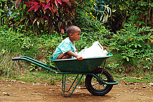 dominica,carib,territory,little,boy,playing,in,wheelbarrow