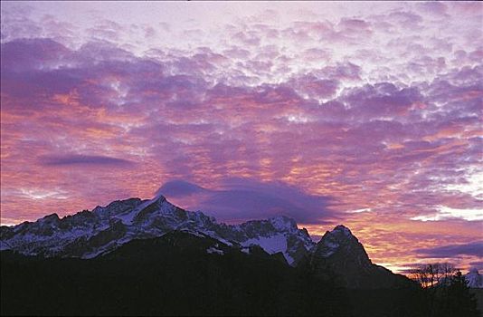粉色,云,日落,上方,山,阿尔卑斯山,德国,欧洲