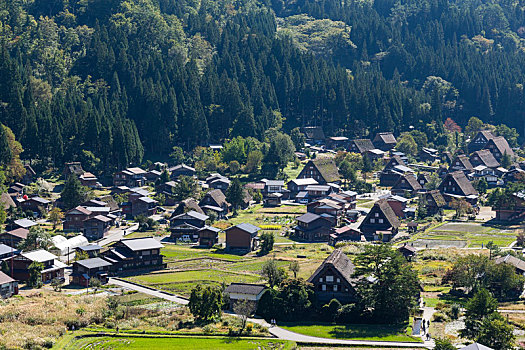 日本,历史,乡村