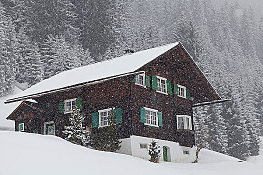 冬天,蒙塔丰,区域,阿尔卑斯山,奥地利,欧洲