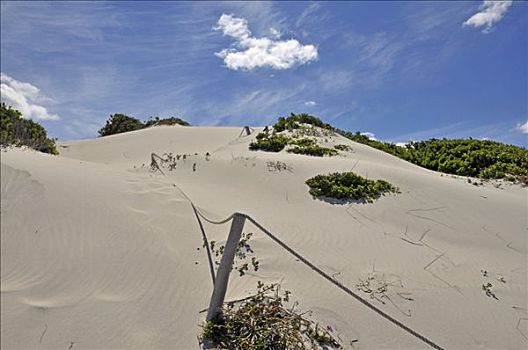 沙丘,圈,自然保护区,南非,非洲