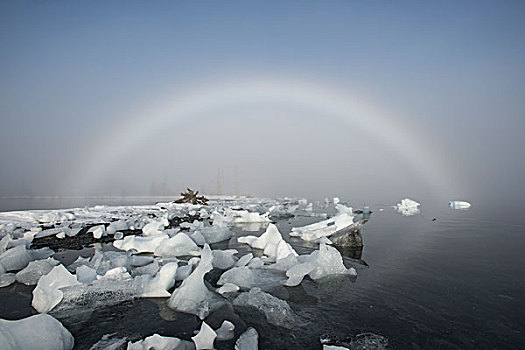 雾,彩虹,搁浅,冰山,威廉王子湾,阿拉斯加