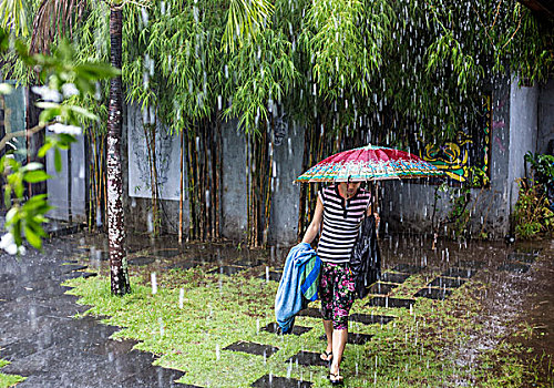 女人,伞,雨天
