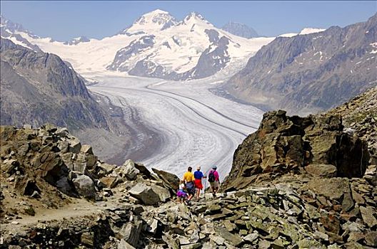 远足,冰河,世界遗产,少女峰,区域,瓦莱,瑞士