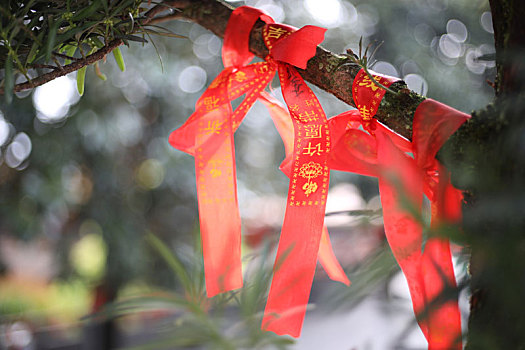 安徽芜湖赭山广济寺的许愿带