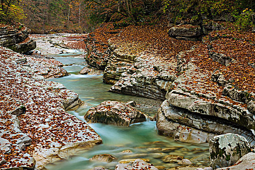 秋天,自然保护区,萨尔茨堡,奥地利,欧洲