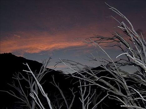 剪影,山脉,托雷德裴恩国家公园,巴塔哥尼亚,智利