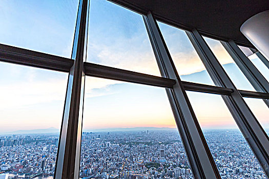 城市,天际线,东京,风景,电视塔