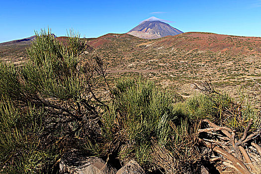 攀升,火山,泰德国家公园,加纳利群岛,特内里费岛,西班牙,欧洲