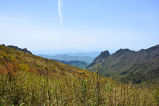 秦岭高山草甸