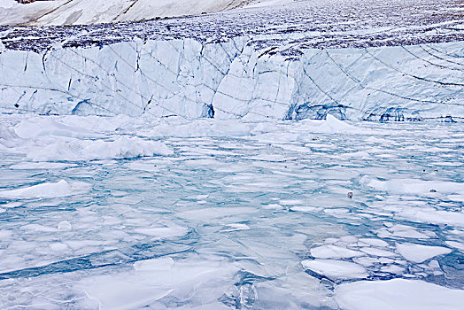 冰冻,湖,艾伯塔省,加拿大