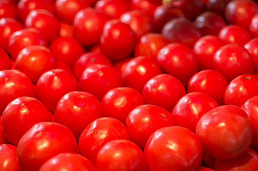 很多番茄