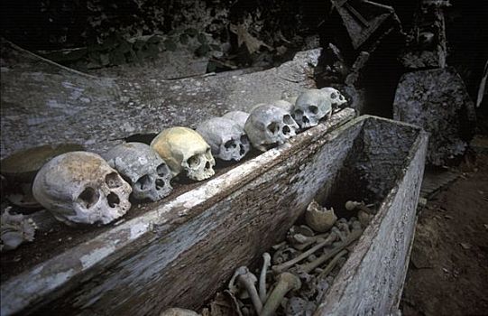 埋葬,洞穴,乡村,苏拉威西岛,印度尼西亚