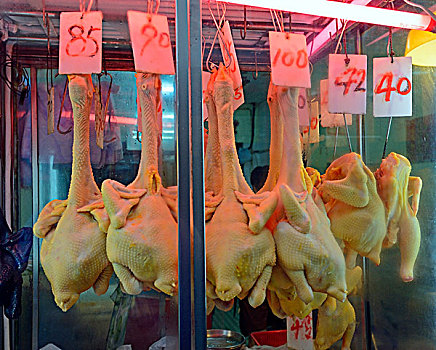 新鲜,鸡肉,屠夫,市场,九龙,香港,中国,亚洲