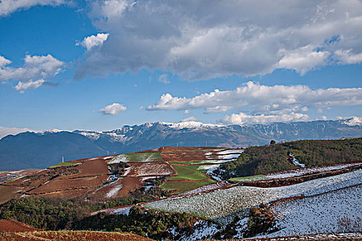 云南东川雪后,锦绣园,红土地