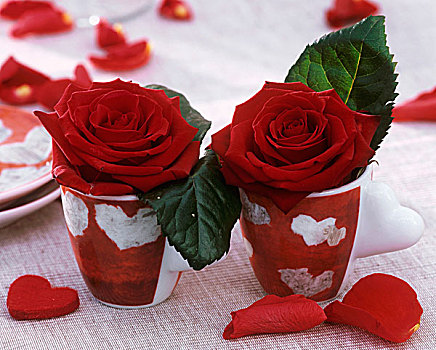 红玫瑰,意式特浓咖啡杯,心形,设计