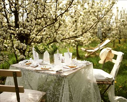 花园桌,春天,白色,桌饰