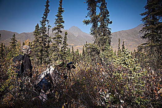 男性,猎捕,儿子,使用,驼鹿,湖,区域,楚加奇州立公园,阿拉斯加,秋天