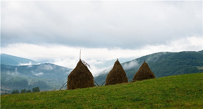 三个,干草堆,乌克兰,喀尔巴阡山脉